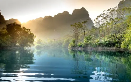 绿色高端